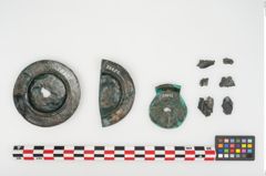 Foto von Bronzephalere (NHMW-PRAE-025642)